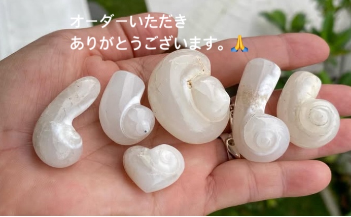 Y様専用ページ