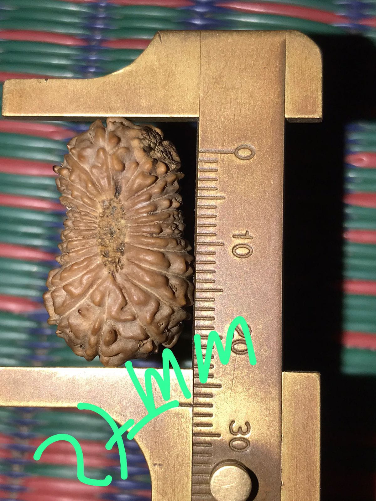 受注発送【ルドラクシャ２３面】コレクタービーズ(25-A)