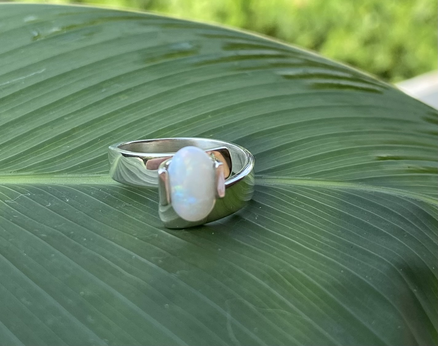 【オーストラリア産オパール】シルバー９２５リング★約11号～15号