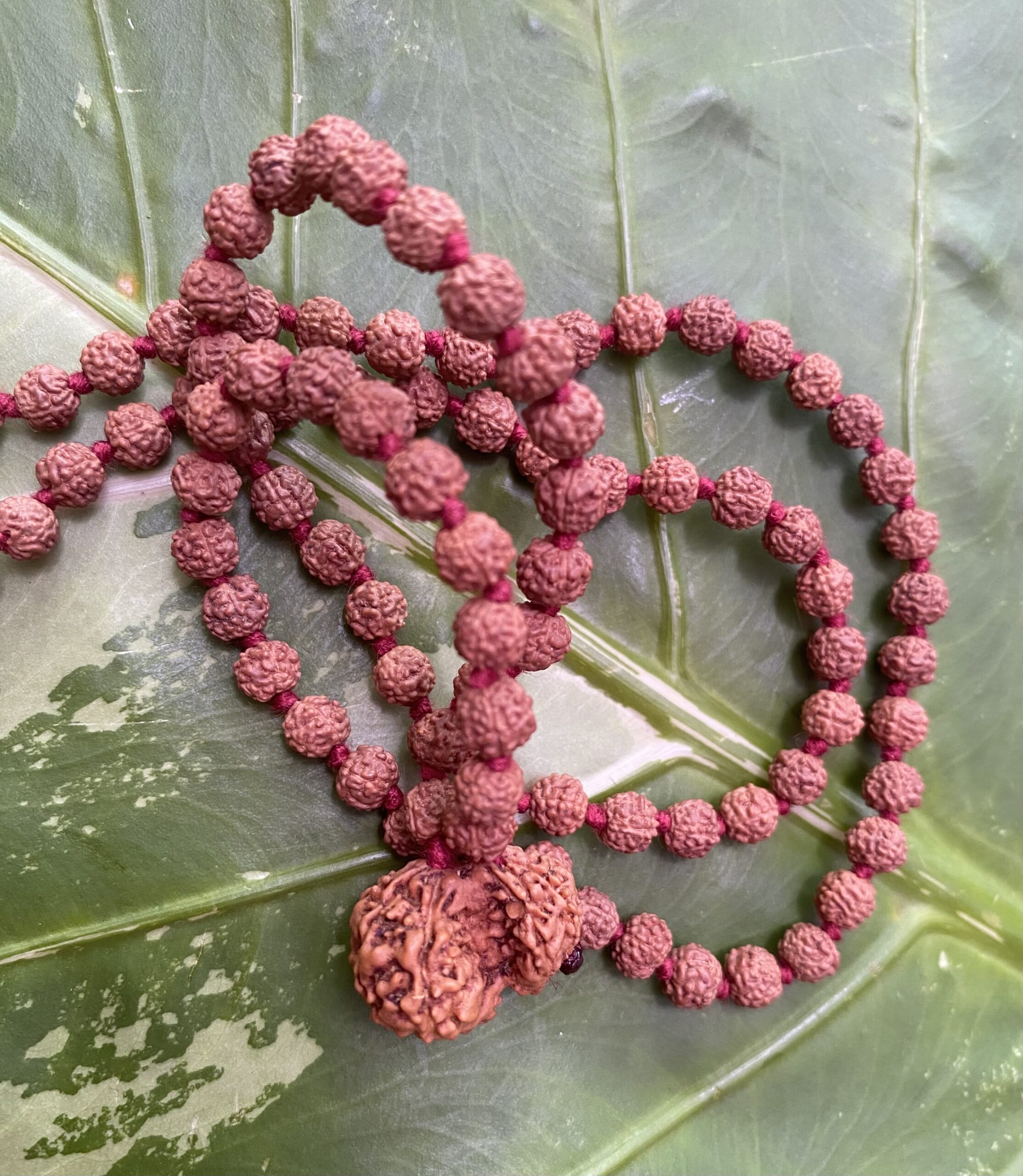 【子宝・家族の絆】ガルバガウリー★１０８粒マーラー