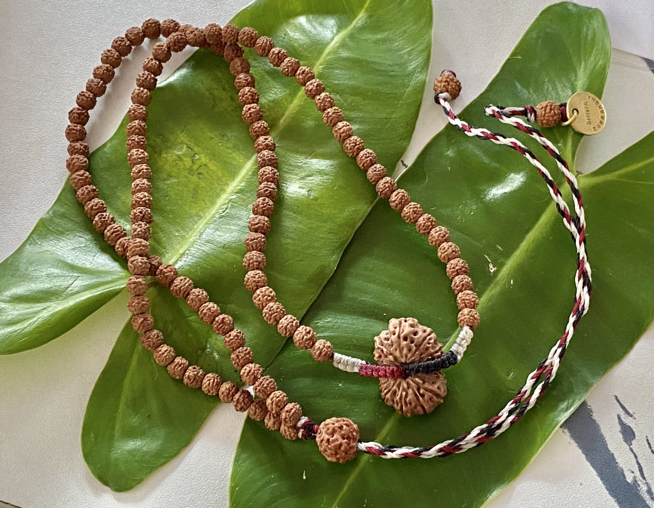 【メディテーションバンド】１４面シヴァ神(2５-A)