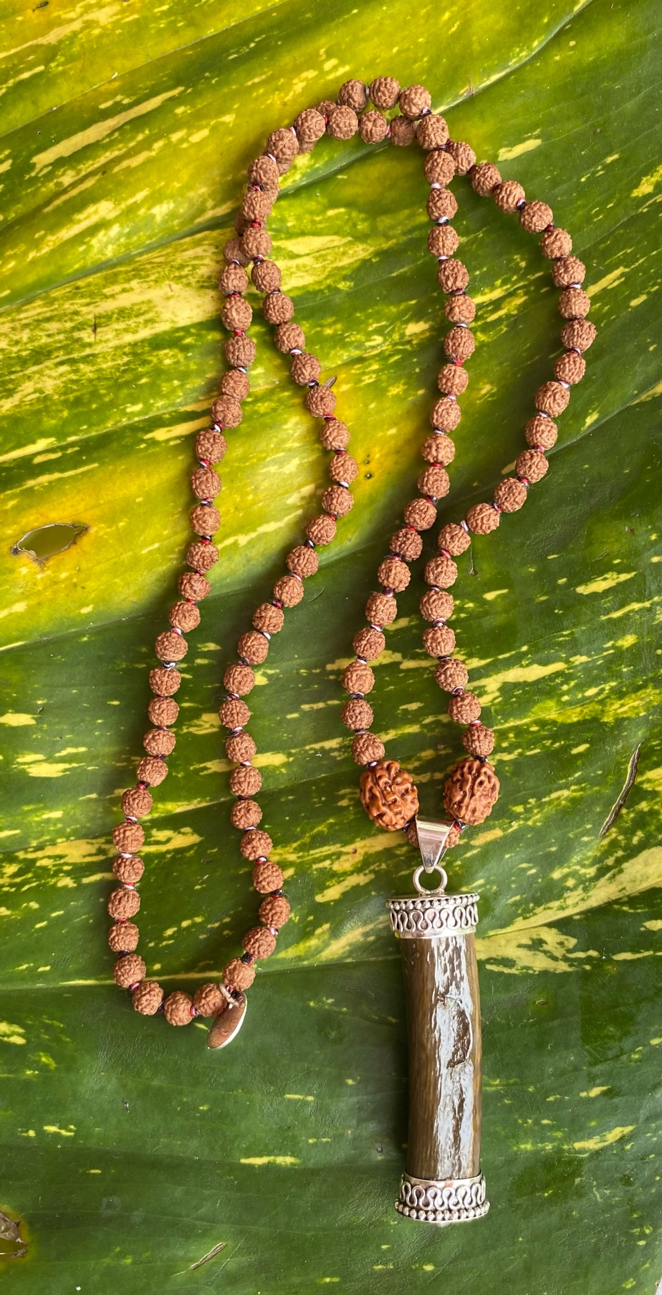 【インドネシア産グリーンウリ】３面＆５面★１０８粒マーラー