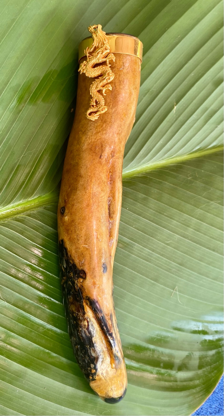 【インドネシア産ゴールドウリ】龍神★オブジェ