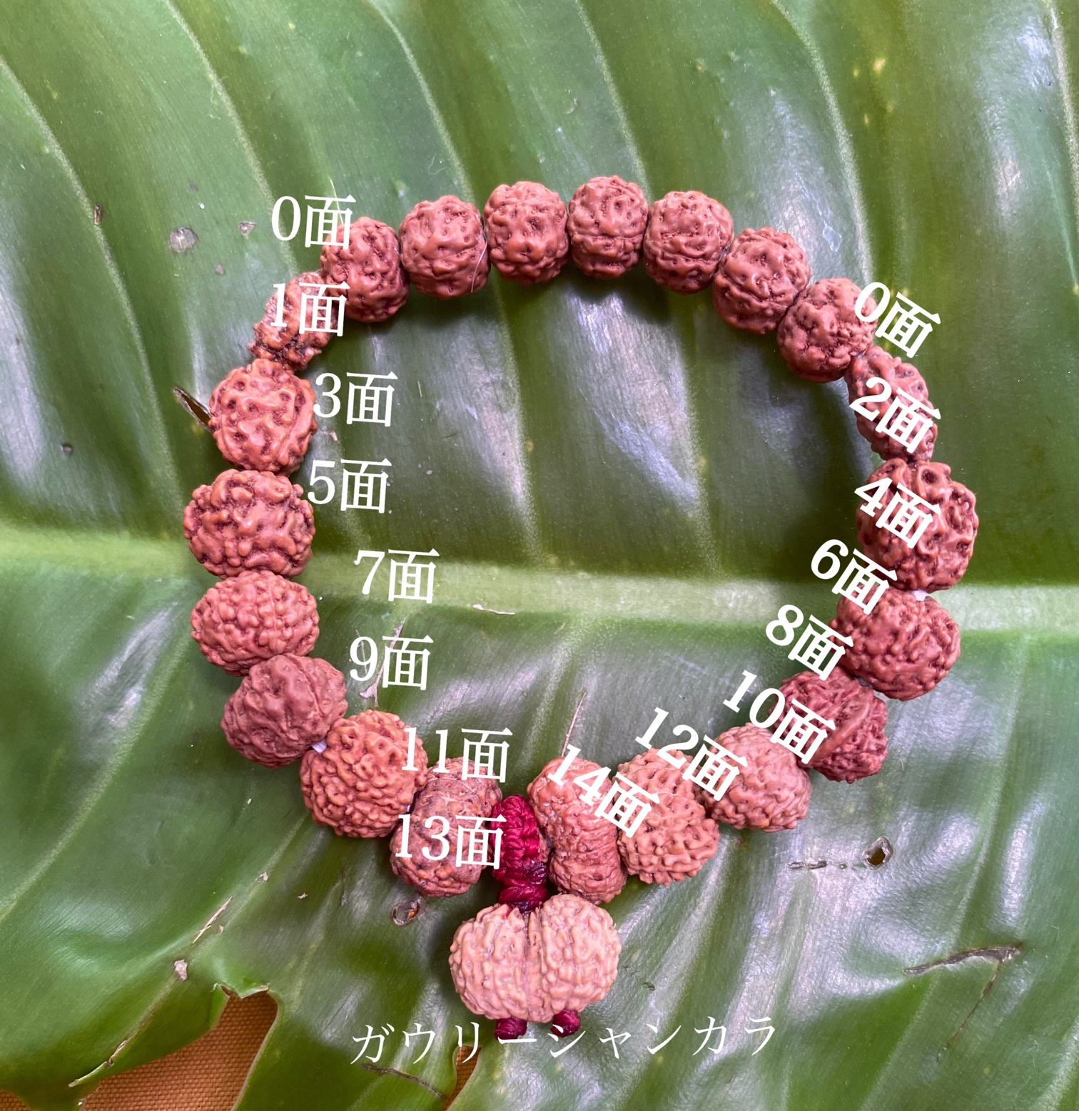 【シッダブレス】小粒０面～14面★金属なし★ブレスレット(25-C)