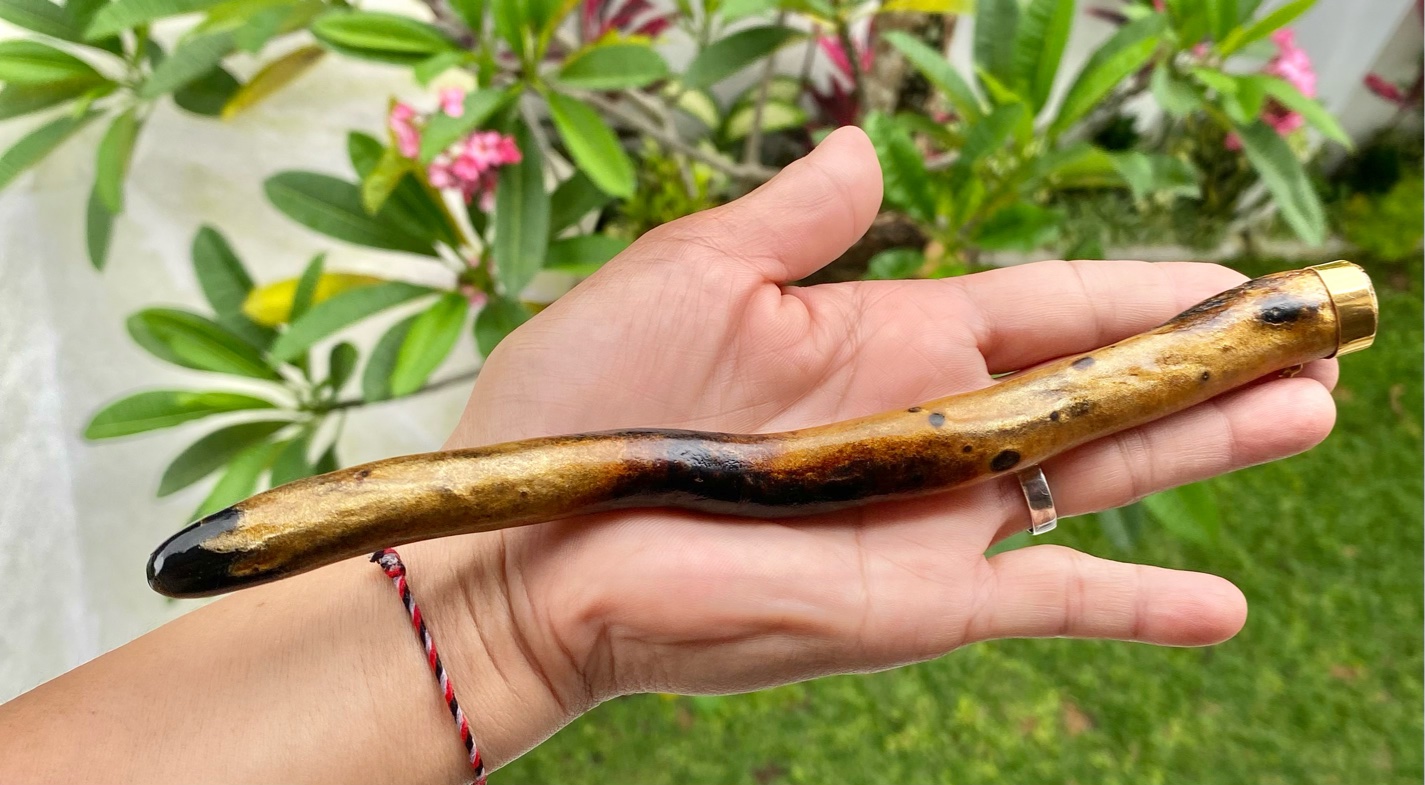 【インドネシア産ゴールドウリ】龍神★ワンド