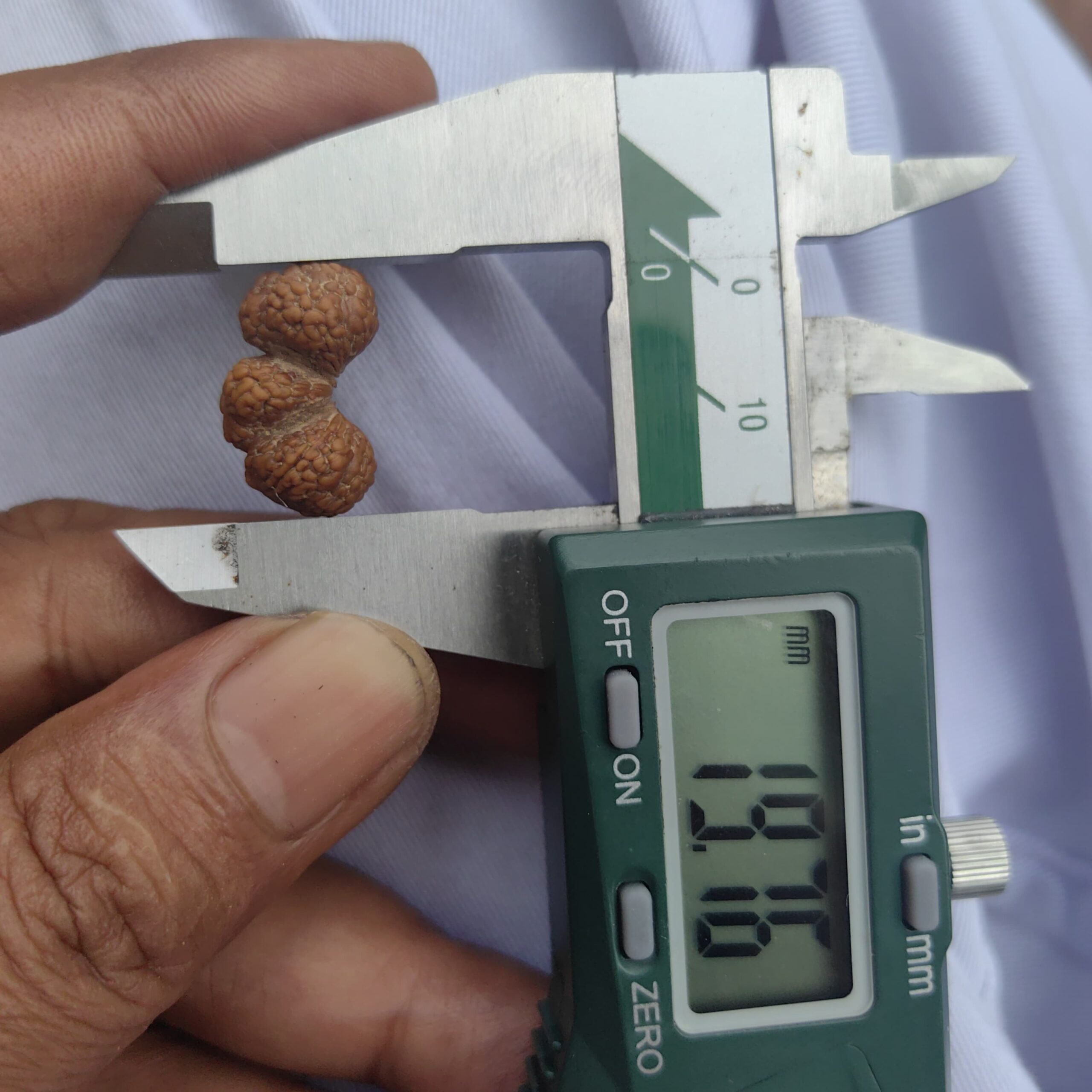 受注発送【Trijuti１１面】コレクタービーズ(２６ーA)