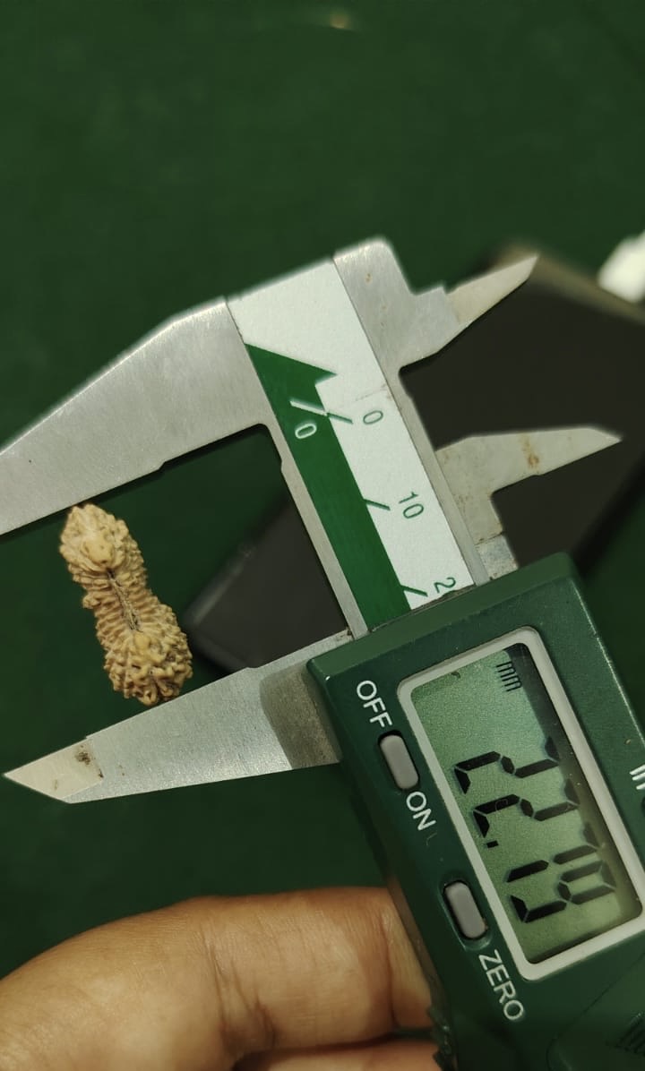 受注発送【ルドラクシャ２７面】コレクタービーズ(２６ーC)