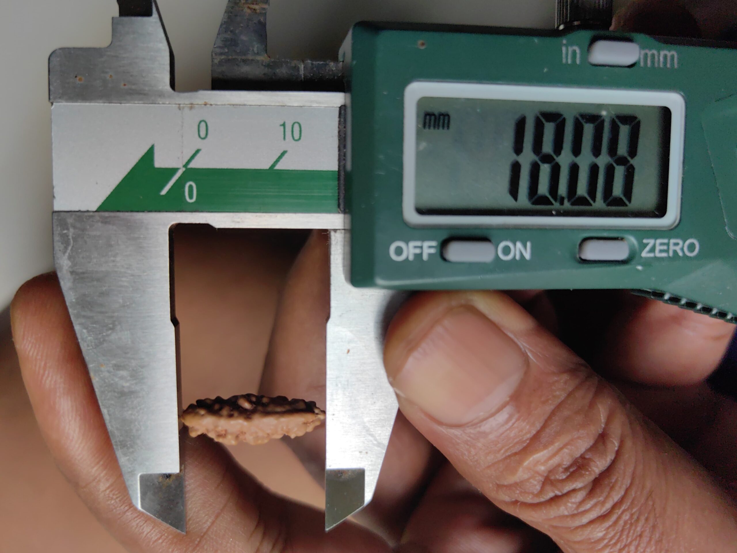 受注発注【ルドラクシャ１面】コレクタービーズ(２６ーG)