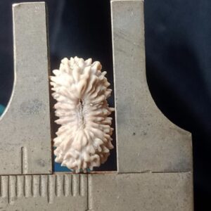 受注発注【小粒２１面】コレクタービーズ(２６ーF)