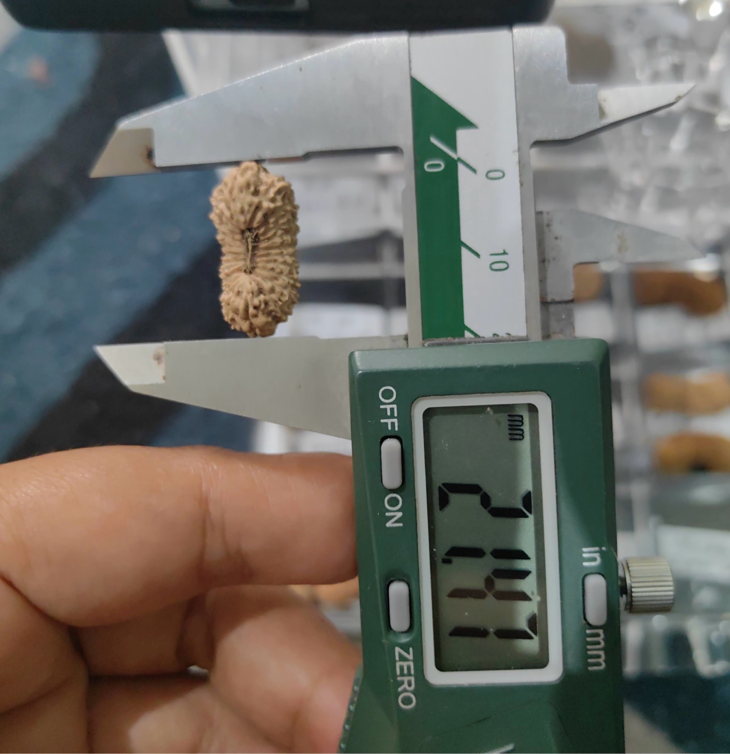 受注発注【ルドラクシャ２３面】コレクタービーズ(２６ーS)