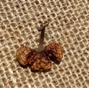 訳あり【Trijuti2５面】コレクタービーズ(２６ーX)