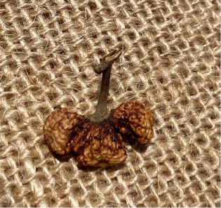 訳あり【Trijuti2５面】コレクタービーズ(２６ーX)