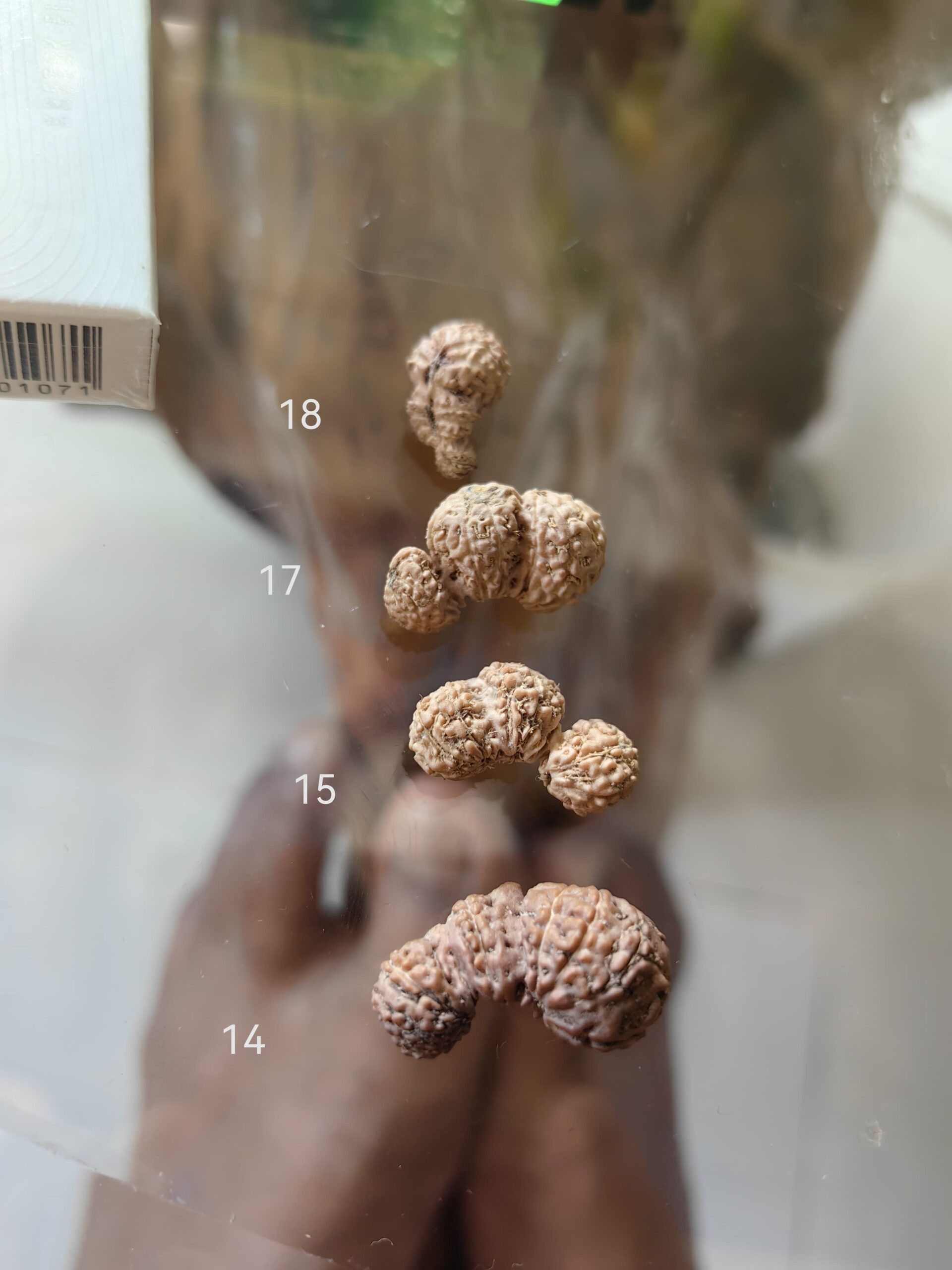 受注発注【Trijuti】コレクタービーズ(２６ーZ)