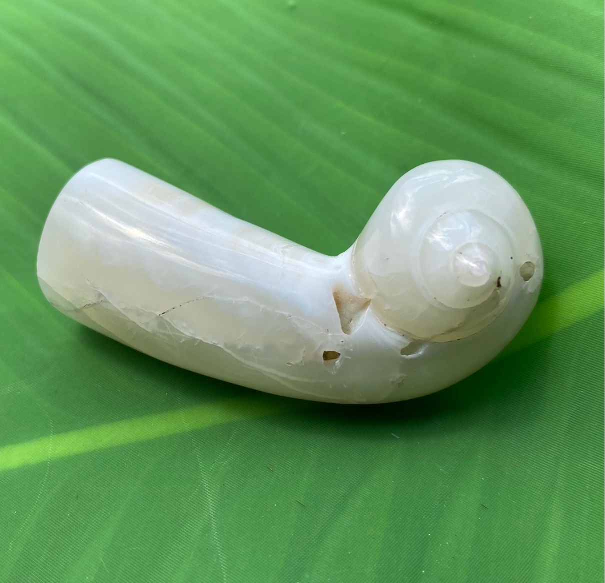 訳あり！【入魂儀式済・無研磨ケオン】観賞用（２６ーL）