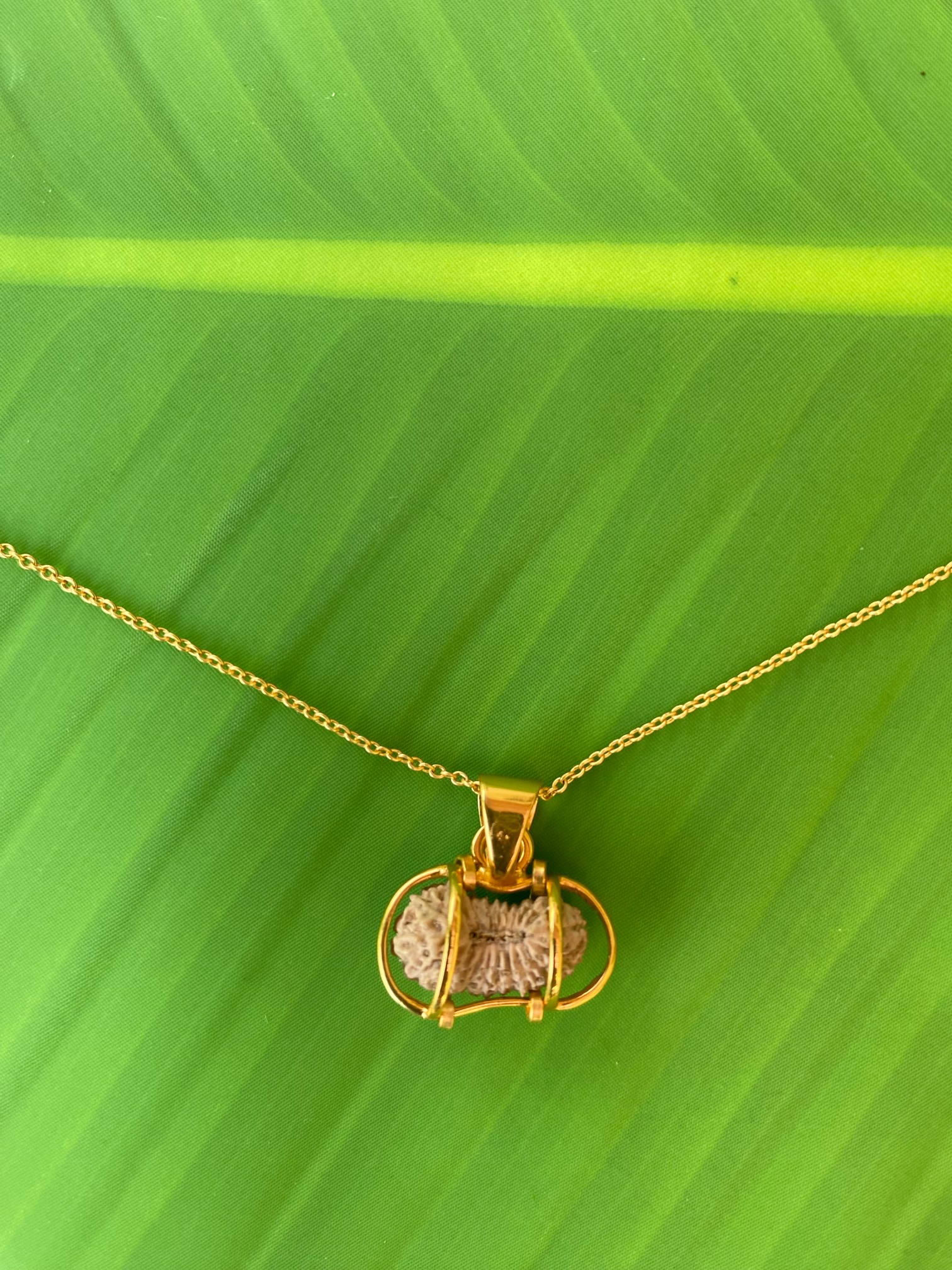 【ルドラクシャ２１面クベーラ】ペンダント★ネックレス（２６ーB）